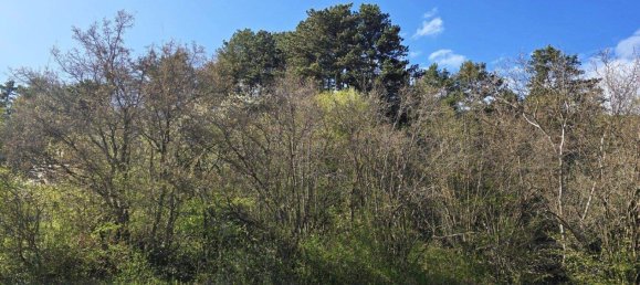  Land in Ternitz, Austria No. 165678 3