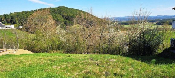  Land in Ternitz, Austria No. 165678 2
