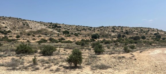 Land in Alicante, Spain No. 156309 11