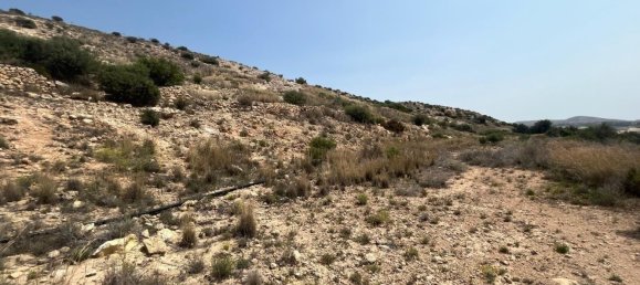 Land in Alicante, Spain No. 156309 4