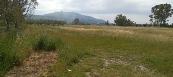  فندق في Zakynthos, Greece رقم 463 8