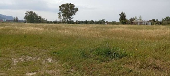  فندق في Zakynthos, Greece رقم 463 12