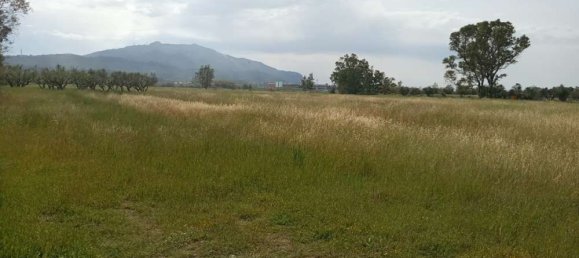  فندق في Zakynthos, Greece رقم 463 18