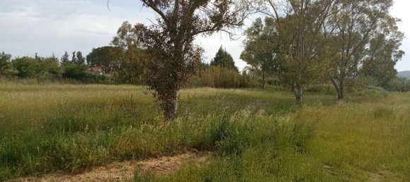  فندق في Zakynthos, Greece رقم 463 9