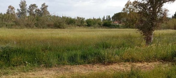  فندق في Zakynthos, Greece رقم 463 10