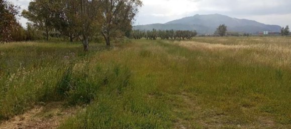  فندق في Zakynthos, Greece رقم 463 4