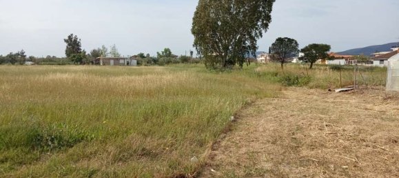  فندق في Zakynthos, Greece رقم 463 11