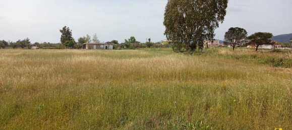  فندق في Zakynthos, Greece رقم 463 15