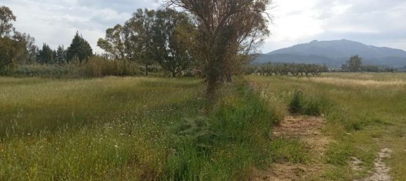  فندق في Zakynthos, Greece رقم 463 14