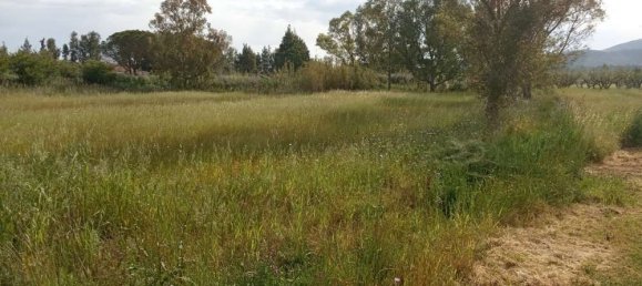  فندق في Zakynthos, Greece رقم 463 17