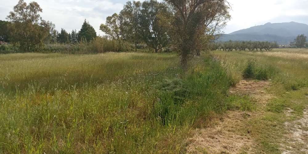  فندق في Zakynthos, Greece رقم 463