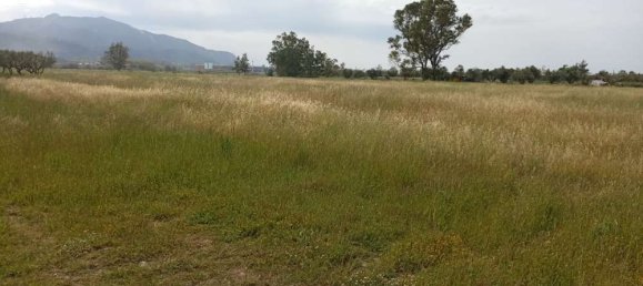  فندق في Zakynthos, Greece رقم 463 16