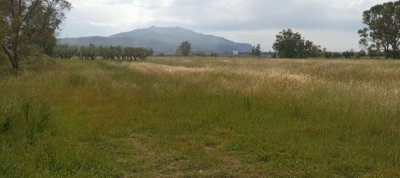  فندق في Zakynthos, Greece رقم 463 5