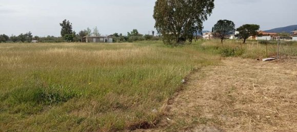  فندق في Zakynthos, Greece رقم 463 2