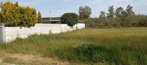  فندق في Zakynthos, Greece رقم 463 13