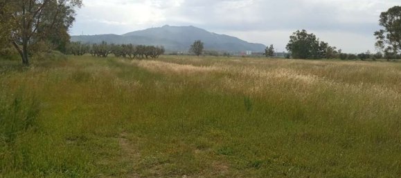  فندق في Zakynthos, Greece رقم 463 19