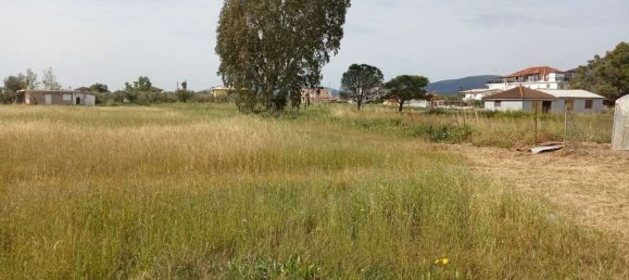  فندق في Zakynthos, Greece رقم 463 7