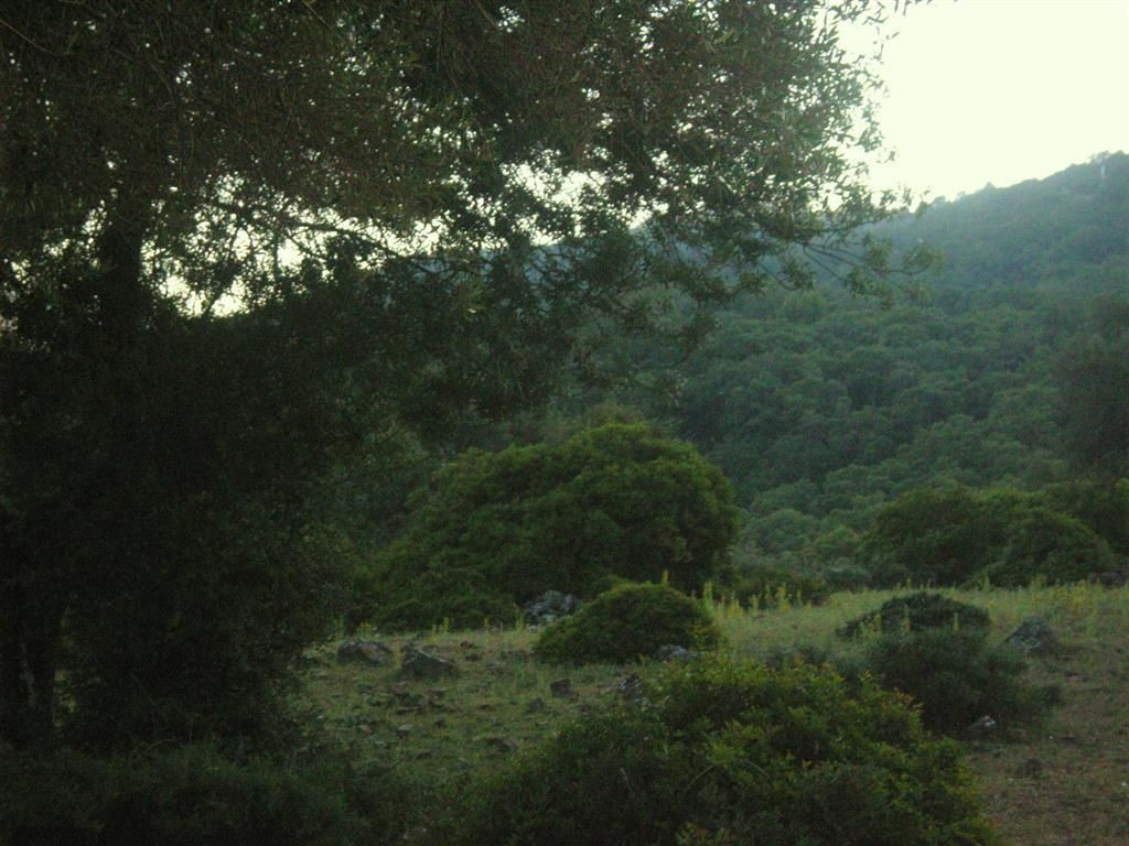 Grundstück in Gaucin, Spain, Nr. 83292
