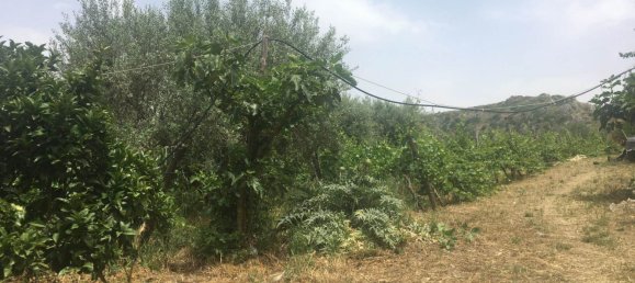 5 rooms Villa in Naro, Italy No. 140410 5