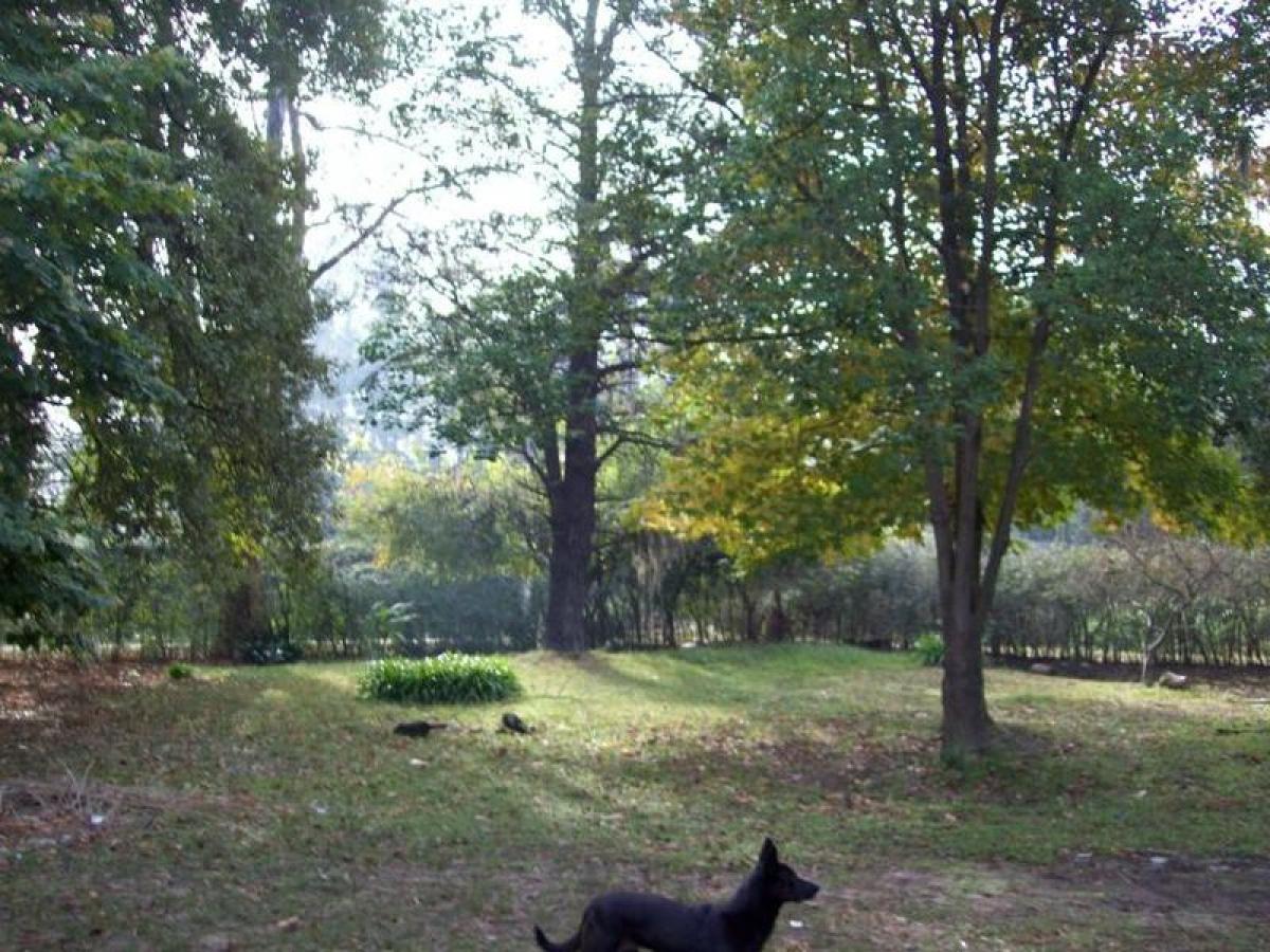  Land in Tigre, Argentina No. 36005