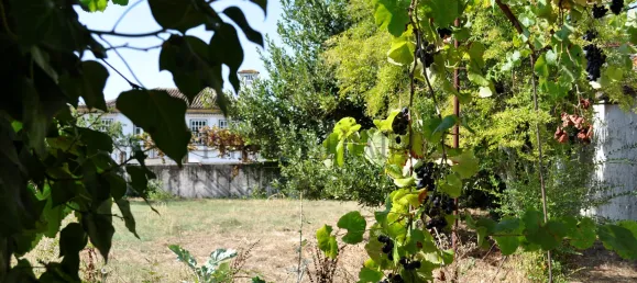 Casa de 8 dormitorios en Lousa, Portugal No. 118477 16