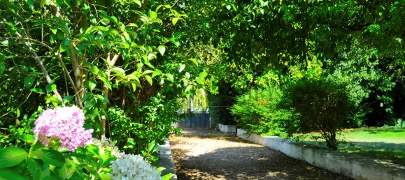 Casa de 8 dormitorios en Lousa, Portugal No. 118477 10