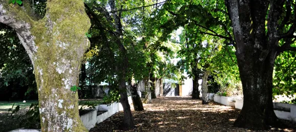 Casa de 8 dormitorios en Lousa, Portugal No. 118477 22