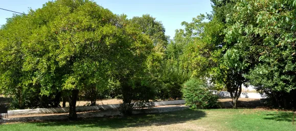 Casa de 8 dormitorios en Lousa, Portugal No. 118477 5