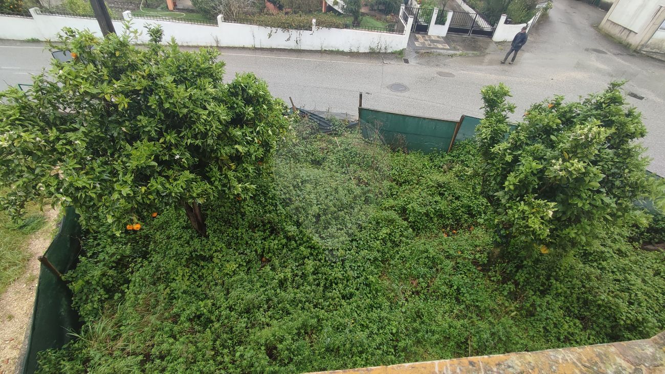 4 bedrooms House in Figueira da Foz, Portugal No. 35953