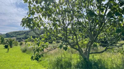 5 bedrooms House in Cantabria, Spain No. 153936