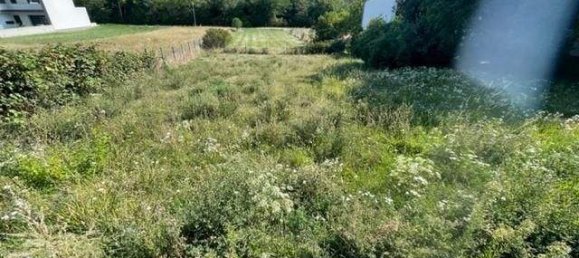  قطعة أرض في Neusiedl am See, Austria رقم 77695 2