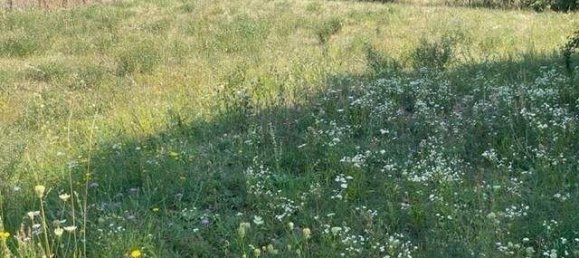  قطعة أرض في Neusiedl am See, Austria رقم 77695 3