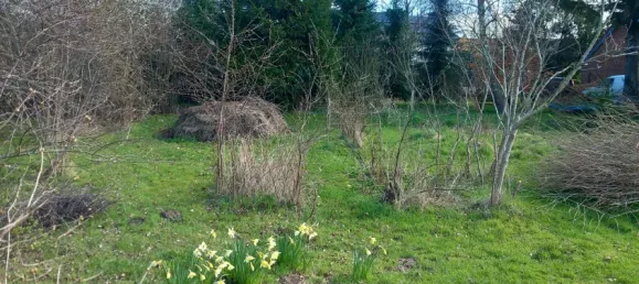  Land in Schleswig-Flensburg, Germany No. 64401 4