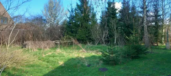  Land in Schleswig-Flensburg, Germany No. 64401 3