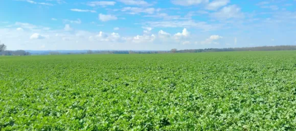  Land in Schleswig-Flensburg, Germany No. 64401 5