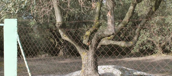 Hôtel à Thermi, Greece 6869m² No. 8031 3