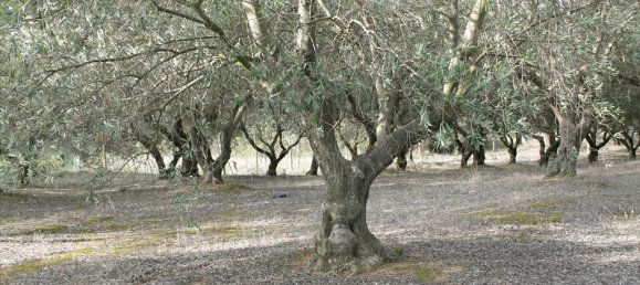 Hôtel à Thermi, Greece 6869m² No. 8031 4