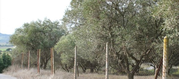 Hôtel à Thermi, Greece 6869m² No. 8031 5