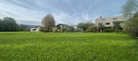 Grundstück in Meiningen, Austria, Nr. 113968 4