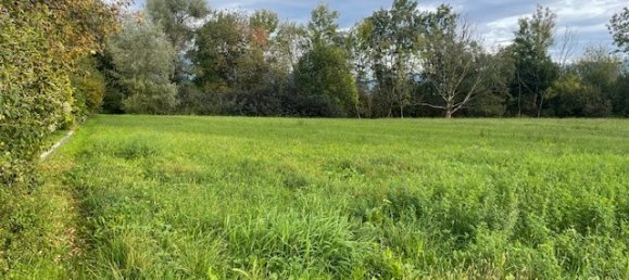 Grundstück in Meiningen, Austria, Nr. 113968 3