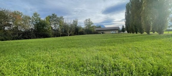 Grundstück in Meiningen, Austria, Nr. 113968 6