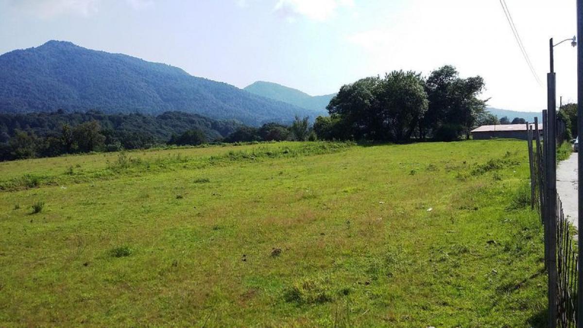  Land in Mexico No. 206849