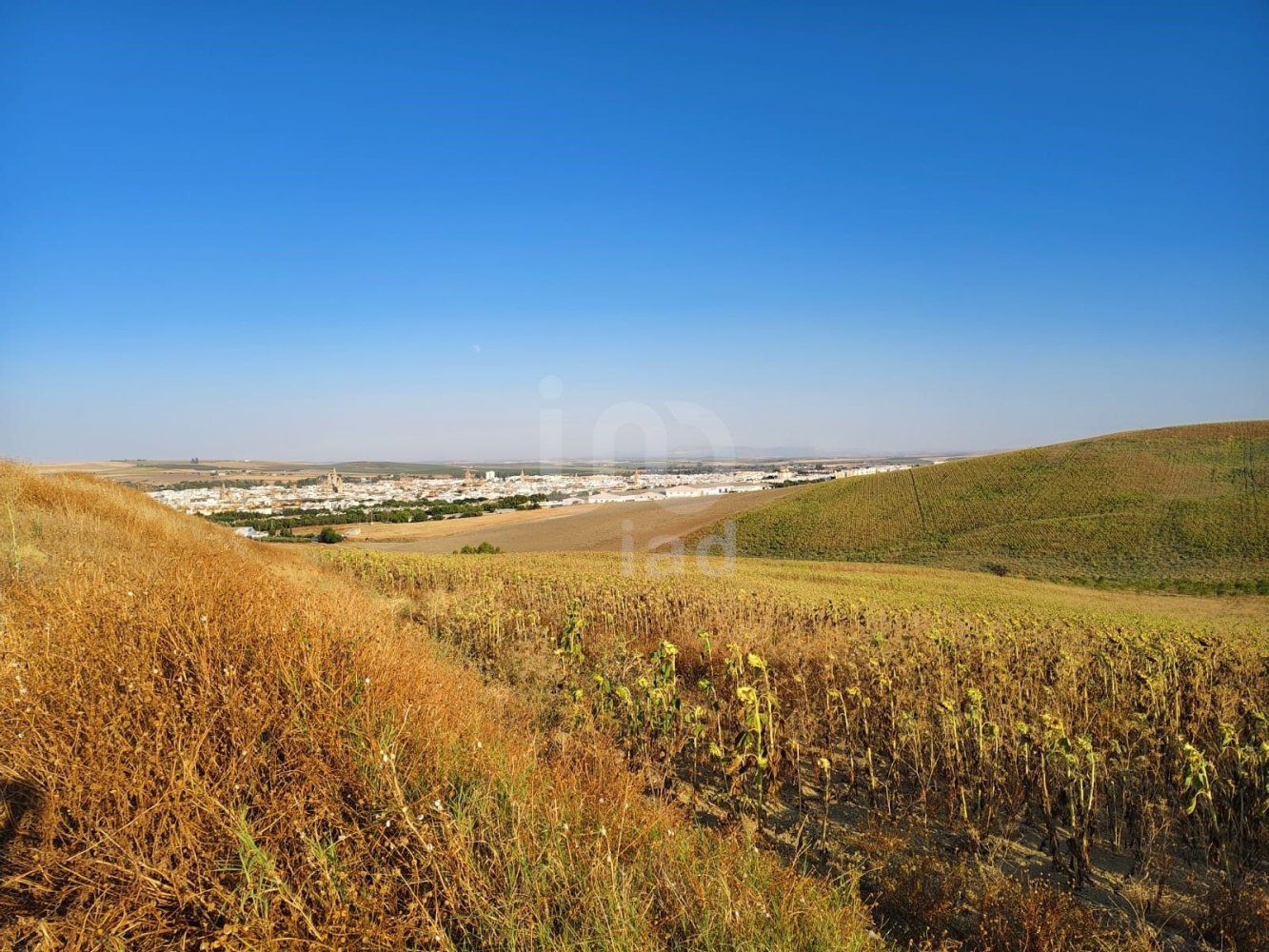 Grundstück in Andalusia, Spain 77497m², Nr. 275008