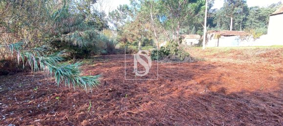 Villa de 2 dormitorios en Figueira da Foz, Portugal No. 300765 16