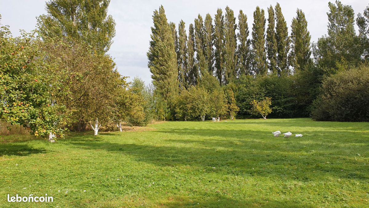 4 bedrooms House in Ardres, France No. 53998