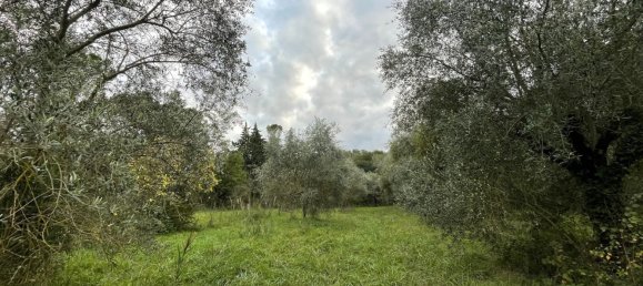 قطعة أرض في Orte, Italy 7000متر مربع رقم 258290 5