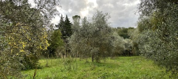 قطعة أرض في Orte, Italy 7000متر مربع رقم 258290 4