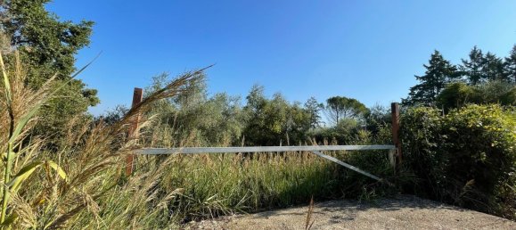 قطعة أرض في Orte, Italy 7000متر مربع رقم 258290 7