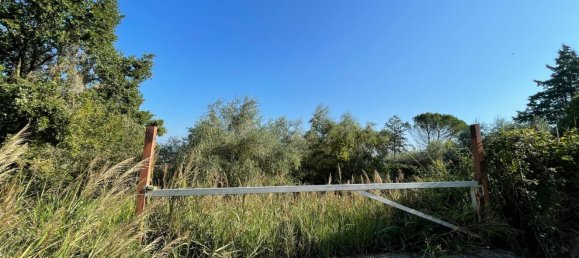 قطعة أرض في Orte, Italy 7000متر مربع رقم 258290 6