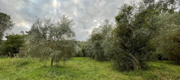 قطعة أرض في Orte, Italy 7000متر مربع رقم 258290 2